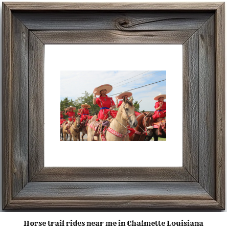 horse trail rides near me in Chalmette, Louisiana